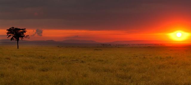 010 Kenia, Masai Mara.jpg